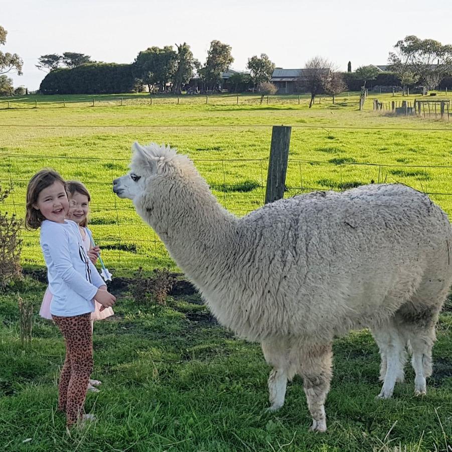 פורט פיירי Clonmara Country House And Cottages מראה חיצוני תמונה