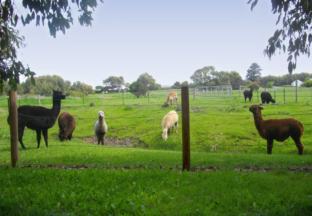 פורט פיירי Clonmara Country House And Cottages מראה חיצוני תמונה