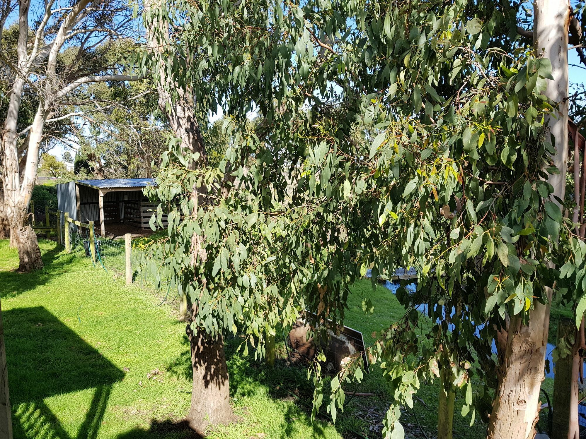 פורט פיירי Clonmara Country House And Cottages מראה חיצוני תמונה