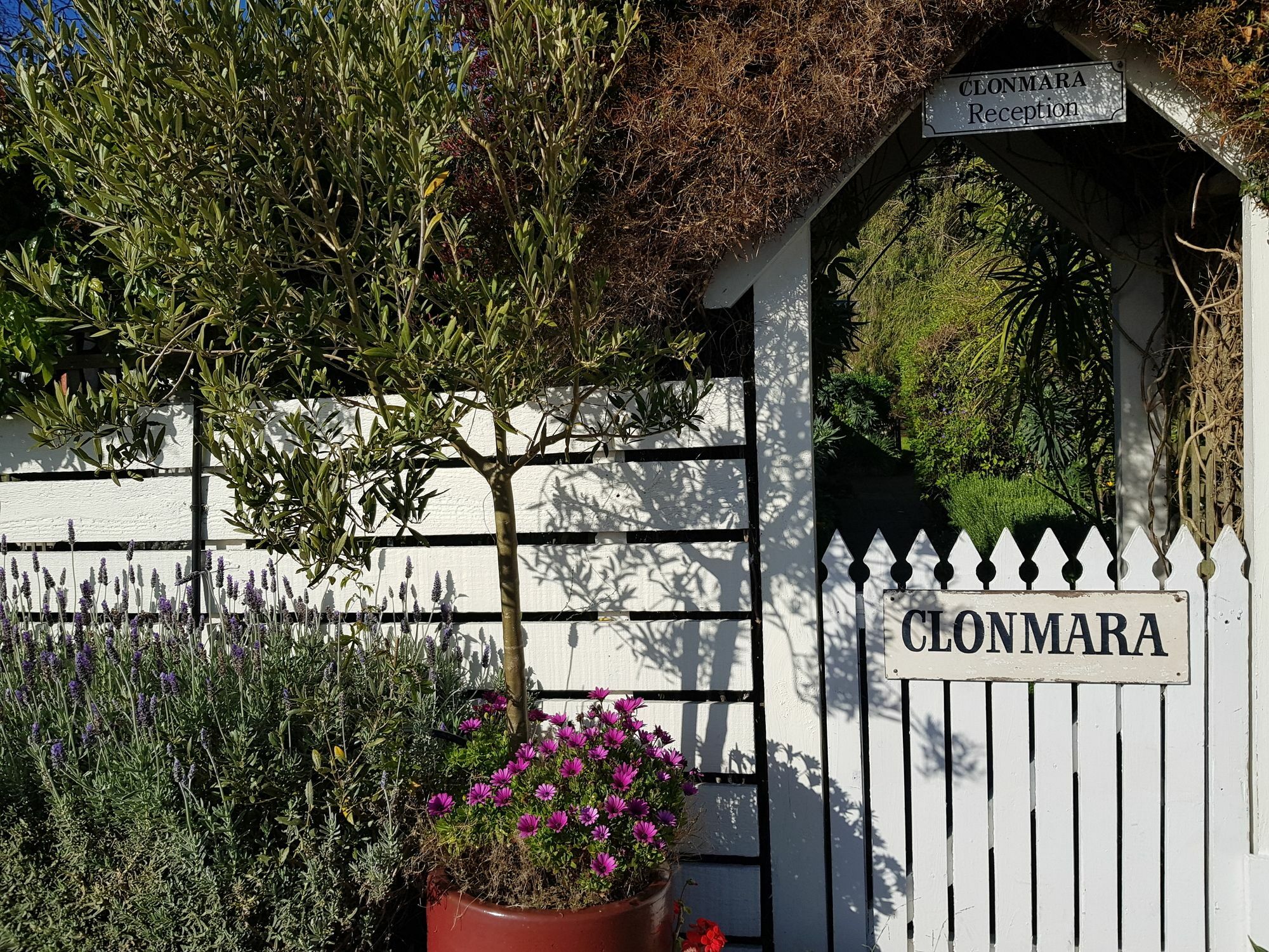 פורט פיירי Clonmara Country House And Cottages מראה חיצוני תמונה